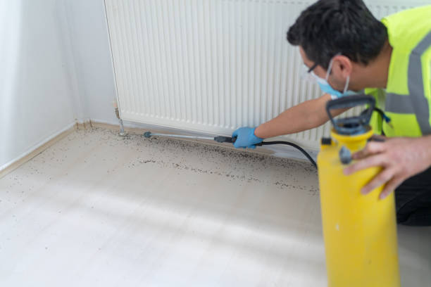 Best Cockroach Control Services  in Great Neck Plaza, NY